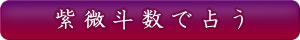 紫微斗数で占う